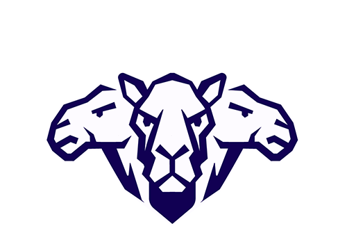 Al Haboob Camel Racing Team